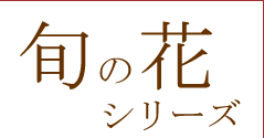 �{�̉ԃV���[�Y
