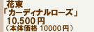 �ԑ��u�J�[�f�B�i�����[�Y�v10,000�~